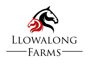 Llowalong Farms Logo