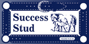 SUCCESS STUD SPONZOR
